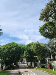 Turf Club Road (D11), Detached #480987781